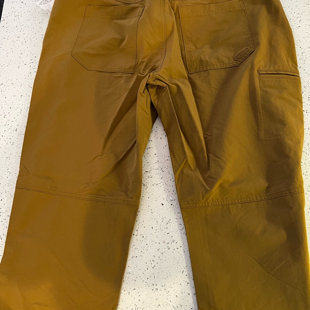Ascend ExplorervPants